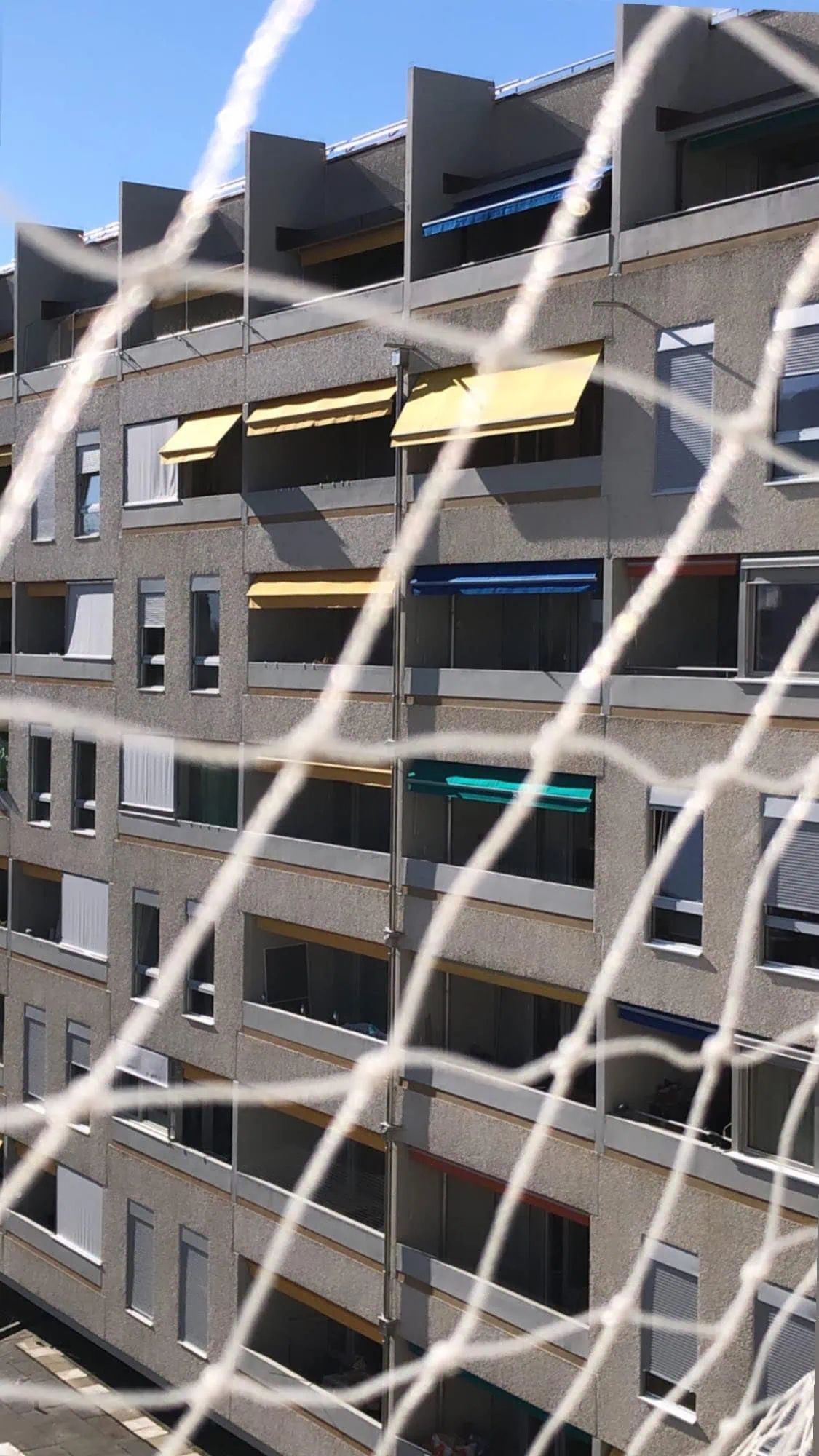 Image 7