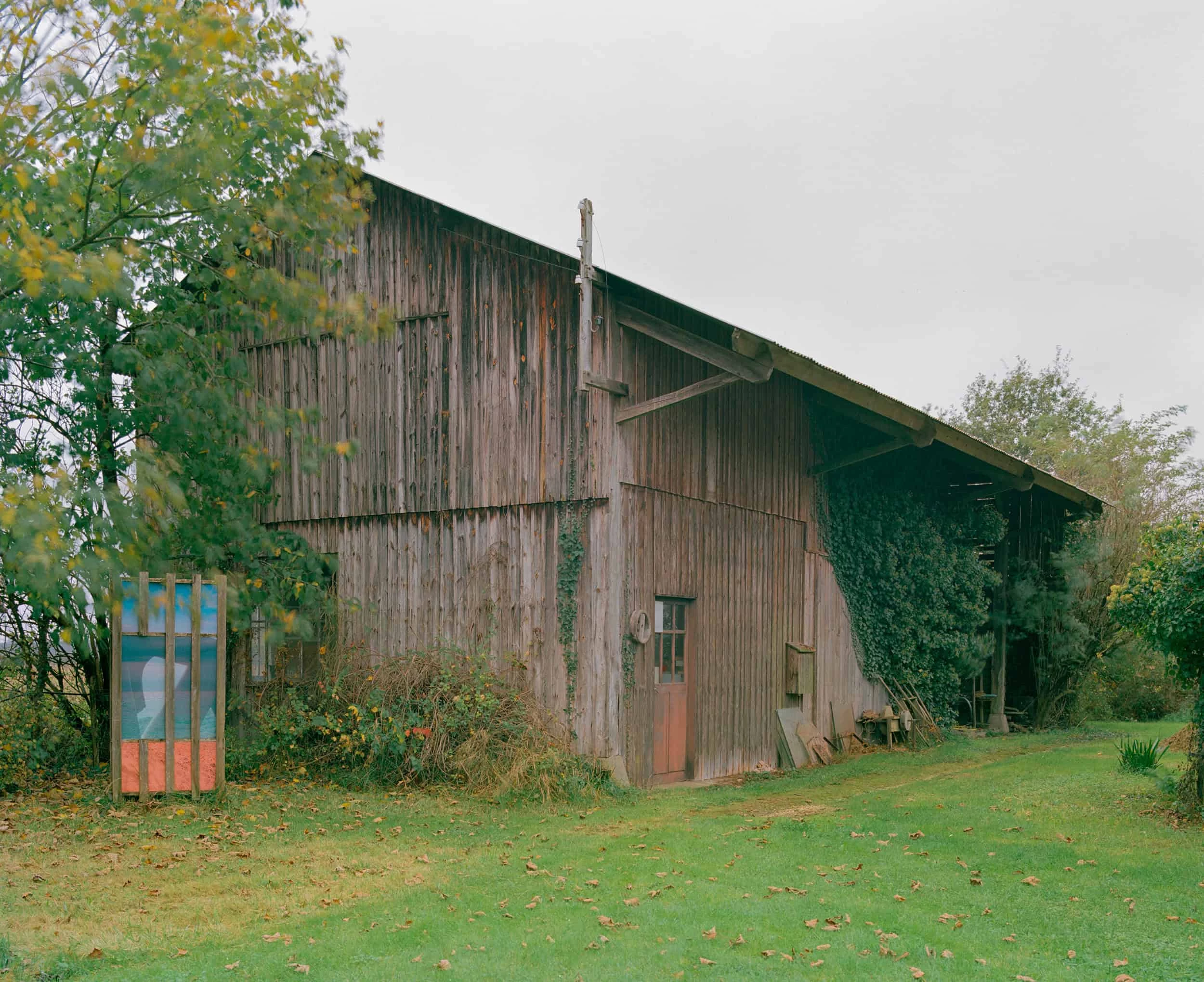 Image 2